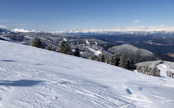 Le plus grand dénivelé dans les Dolomites de Fiemme – domaine skiable Alpe Cermis – Cavalese Le plus grand dénivelé dans les Dolomites de Fiemme – domaine skiable Alpe Cermis – Cavalese