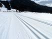 Ski nordique 3TälerPass – Ski nordique Balderschwang – Hochschelpen/Riedberger Horn