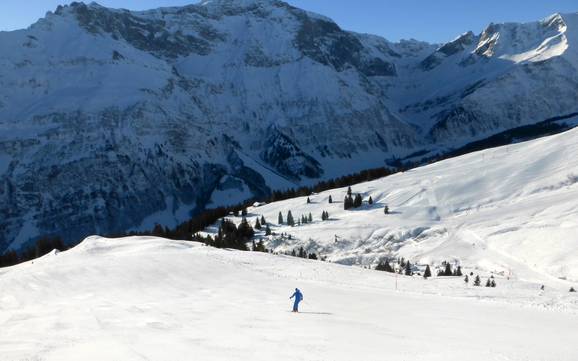 Glaris: Taille des domaines skiables – Taille Elm im Sernftal Glaris: Taille des domaines skiables – Taille Elm im Sernftal